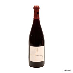 Vallegarcía Syrah