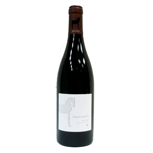 Vallegarcia Syrah