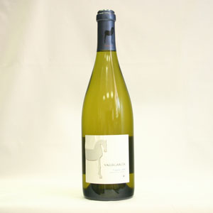 Vallegarcía Viognier