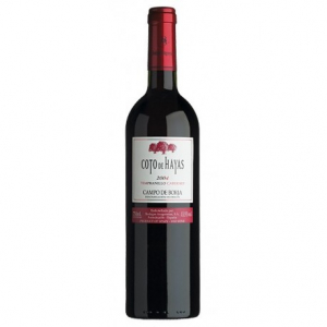 Coto de Hayas Tempranillo Cabernet Sauvignon