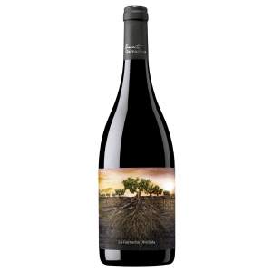 La Garnacha Olvidada de Aragón