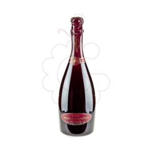 Maria Casanovas Rosat Pinot N.