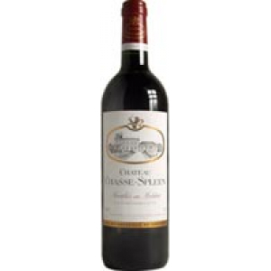 Château Chasse Spleen Magnum