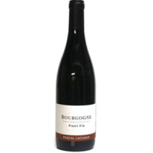 Bourgogne Pinot Fin Arnoux Lachaux