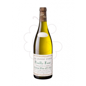 Gitton Clos Joanne d'Orion Pouilly-Fumé