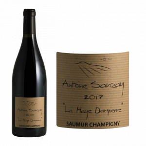 Antoine Sanzay Saumur-Champigny la Haye Dampierre