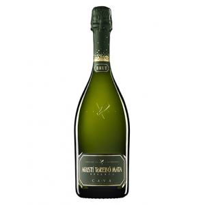 Agusti Torello Brut Reserva