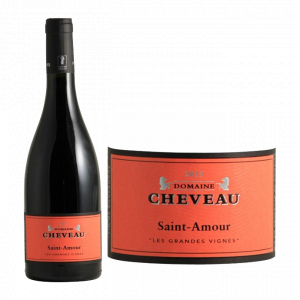 Domaine Cheveau Saint-Amour Les Grandes Vignes