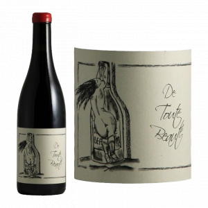 Domaine Ganevat Vin de France Gamay Le Jaja du Ben