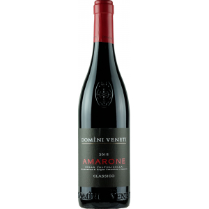 Domini Veneti Amarone Classico