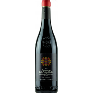 Domini Veneti Amarone Bio