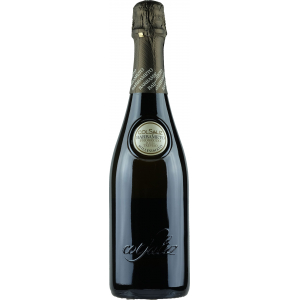 Colsaliz Prosecco Treviso Extra Dry