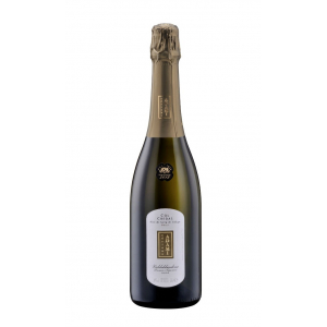 Adami Prosecco di Conegliano Valdobbiadene Superiore Brut Col Credas