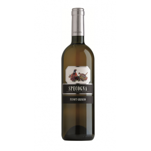 Specogna Pinot Grigio Ramato Colli Orientali del Friuli