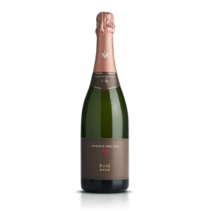 Terrazze Dell' Etna Metodo Classico Tradizionale Cuveé Brut Rosè