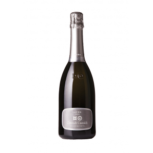 Franciacorta Contadi Castaldi Saten Magnum