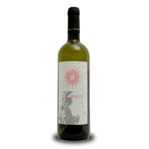 Fattoria Coroncino Verdicchio Dei Castelli di Jesi Il Bacco