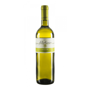 Filodivino Verdicchio Dei Castelli di Jesi Classico Serra 46