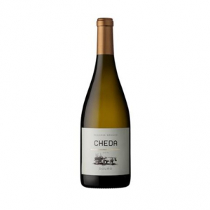 Cheda Reserva Branco