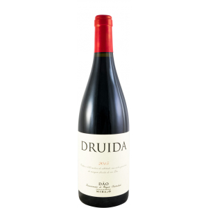 Druida