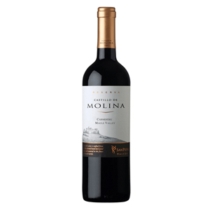 Castillo de Molina Reserva Cabernet Sauvignon