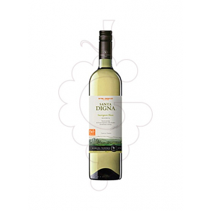 Santa Digna Sauvignon Blanc