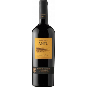 Montgras Antu Cabernet Sauvignon Carmenère