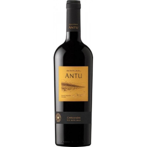 Montgras Antu Carmenère