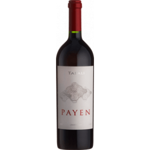 Viña Tabali Tabali Payen Syrah