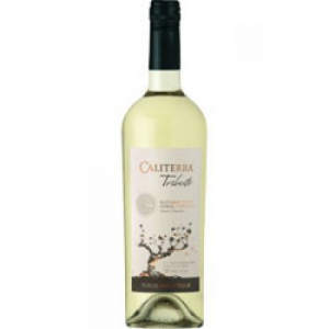 Caliterra Tributo Sauvignon Blanc