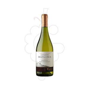 Castillo Molina Chardonnay