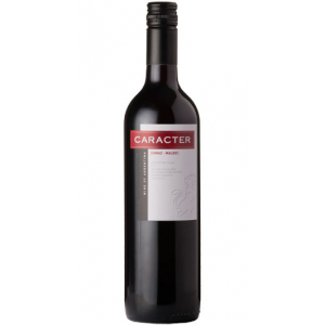 Bodega Cooperativa Santa Ana Caracter Shiraz Malbec