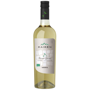 Kaiken Terroir Series Torrontes