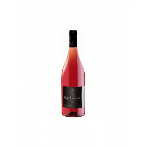 Bernat Oller Rosat