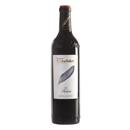 Cepa Gavilán Crianza