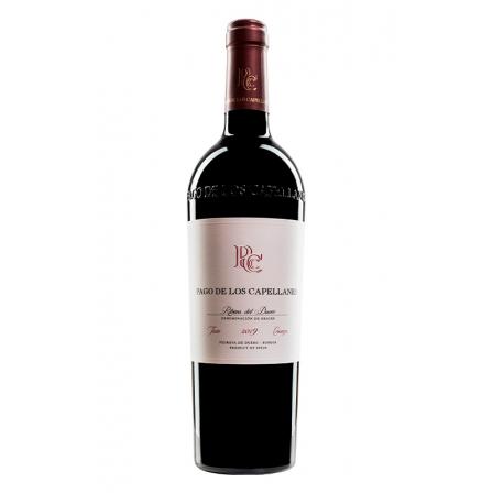 Pago de los Capellanes Crianza Magnum