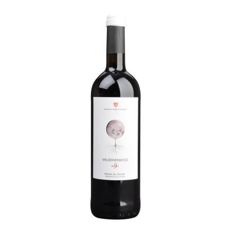 Viñedos Zuazo Gastón Valdehermoso 9 Meses Ribera del Duero