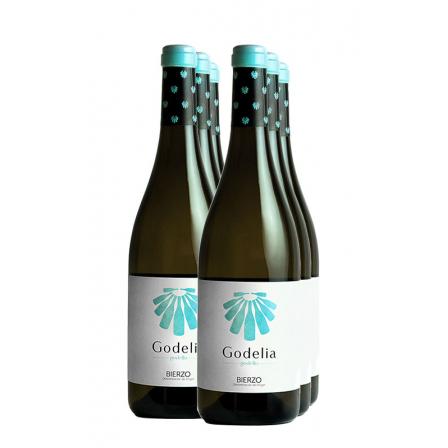 6 X Godelia Godello