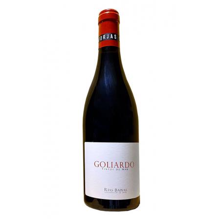 Bodegas Forjas del Salnes Goliardo