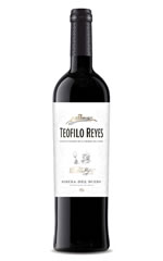 Teofilo Reyes