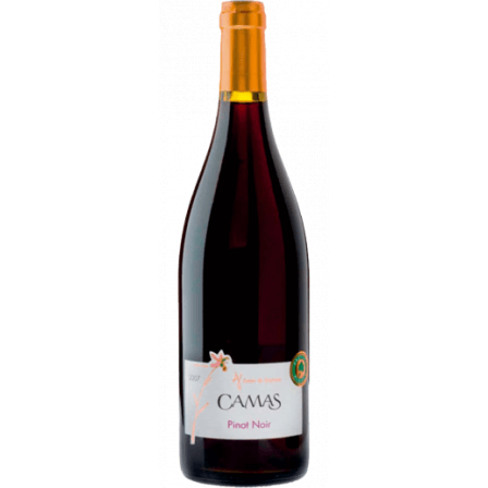 Anne de Joyeuse Camas Pinot