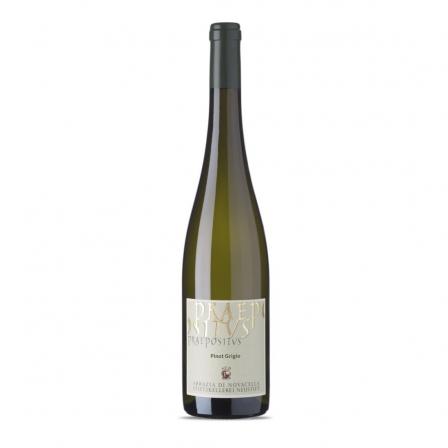 Abbazia di Novacella Alto Adige Pinot Grigio Praepositus