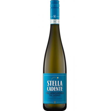 Stella Cadente Falanghina