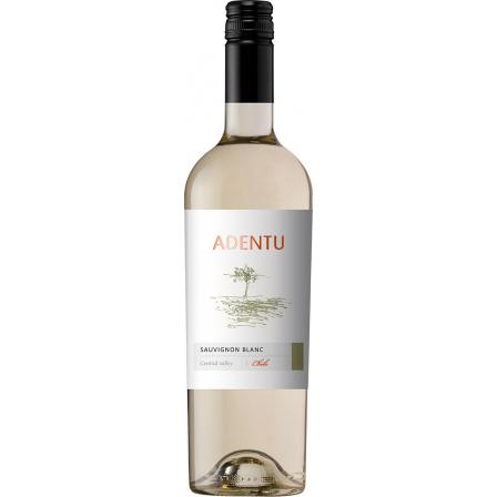 Viña Siegel Adentu Sauvignon Blanc