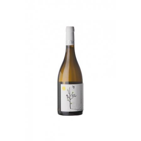 Jordi Miró Garnacha Blanca