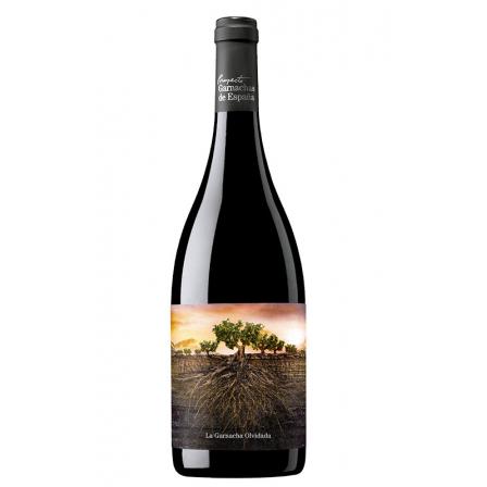 La Garnacha Olvidada de Aragón