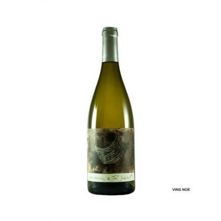 Toni Gelabert Chardonnay