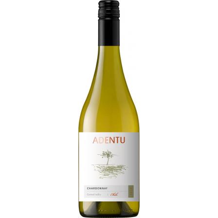 Viña Siegel Adentu Chardonnay