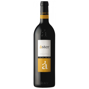 Aster Crianza