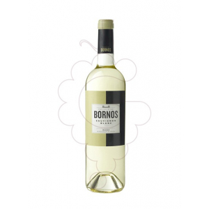 Palacio de Bornos Sauvignon Blanc